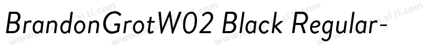 BrandonGrotW02 Black Regular字体转换